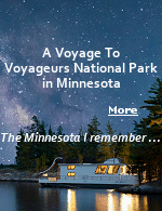 Voyageurs National Park in northern Minnesota established in 1975. It is located near the city of International Falls. The park's name commemorates the Voyageurs, French-Canadian fur traders who were the first to frequently travel through the area. Notable for its outstanding water resources, the park is popular with canoeists, kayakers, and fishermen. Many years ago, I guided fishermen on the main body of water, Rainy Lake, 1600 islands, 40 miles by 40 miles, half in the United States, half in Canada.